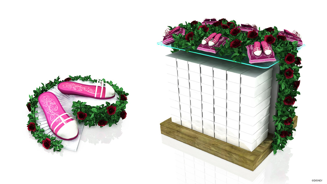 Princess Shoe Display